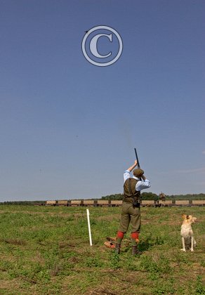 Partridge Shooting 3 DM3341